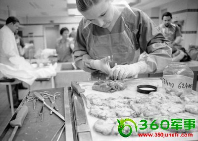 ʵ�ķ�ҽ����ʬ����ʵ����